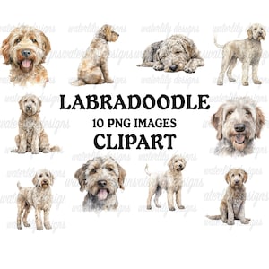 Labradoodle Clipart Bundle, 10 hochwertige, lebendige PNGs, druckbare Planer Basteln, kommerzielle Nutzung inbegriffen, digitaler Download