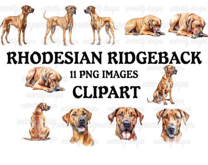 Rhodesian Ridgeback Portrait Clipart PNG Digital Download Set für 4 ...