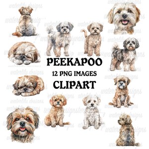 Può includere: Una collezione di 12 immagini PNG di cani Peekapoo in varie pose. Le immagini sono in stile acquerello, con cani in tonalità di marrone, grigio e bianco. Il testo sull'immagine recita "PEEKAPOO 12 PNG IMAGES CLIPART."