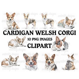 Strickjacke walisische Corgis Clipart Bundle - 10 hochwertige, lebendige PNGs, druckbare Planer Basteln, kommerzielle Nutzung inklusive, digitaler Download