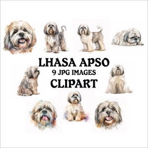 Lhasa Apso Clipart Bundle - 9 High Quality Vibrant JPGs, Printable Planner Crafting, Commercial Use Included, Digital Download