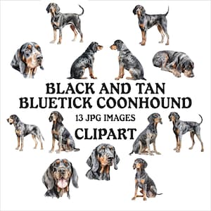Black and Tan Bluetick Coonhound Clipart Bundle - 13 High Quality Vibrant JPGs, Printable Planner Crafting, Commercial Use Included, Digital