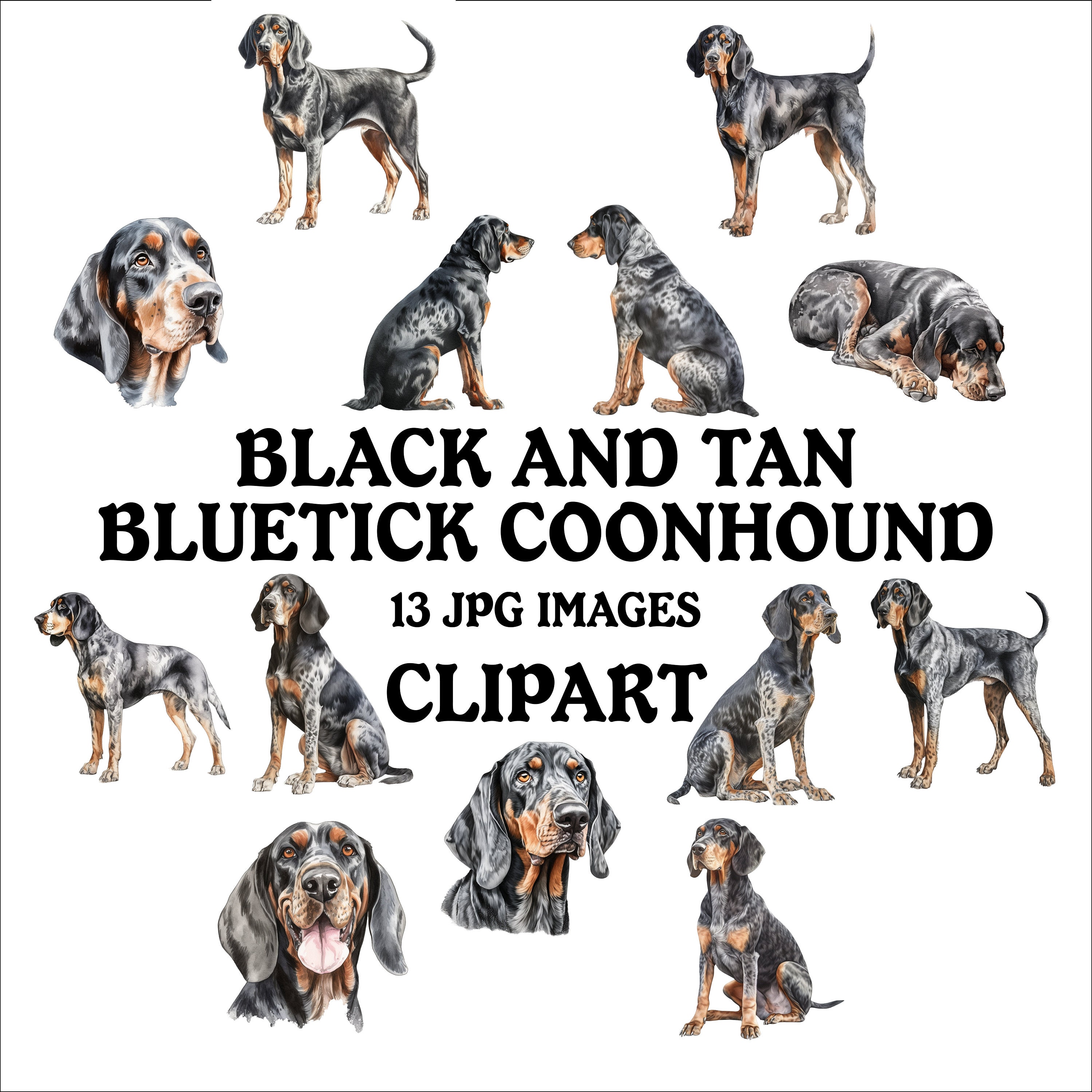 Black and Tan Bluetick Coonhound Clipart Bundle - 13 High Quality ...