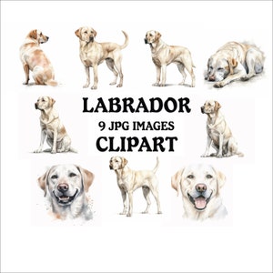 Labrador Clipart Bundle - 9 High Quality Vibrant JPGs, Printable Planner Crafting, Commercial Use Included, Digital Download