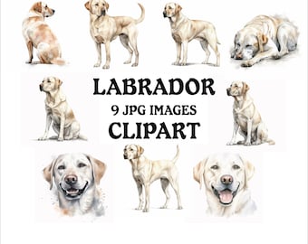Labrador Clipart Bundle: 9 Vibrant JPGs, Commercial Use (Digital Download)