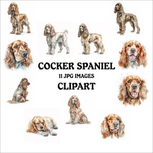 Cocker Spaniel Clipart Bundle - 11 High Quality Vibrant JPGs, Printable Planner Crafting, Commercial Use Included, Digital Download