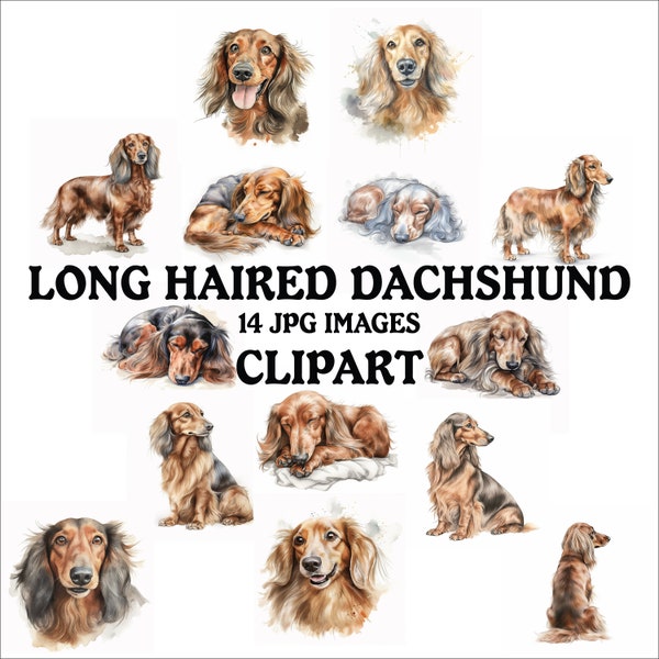 Long Haired Dachshund Clipart Bundle - 14 High Quality Vibrant JPGs, Printable Planner Crafting, Commercial Use Included, Digital Download