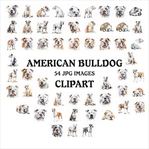 American Bulldog Clipart Bundle - 54 High Quality Vibrant JPGs, Printable Crafting Journaling, Commercial Use Included, Digital Download