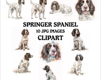 Springer Spaniel Clipart Bundle - 10 High Quality Vibrant JPGs, Printable Planner Crafting, Commercial Use Included, Digital Download