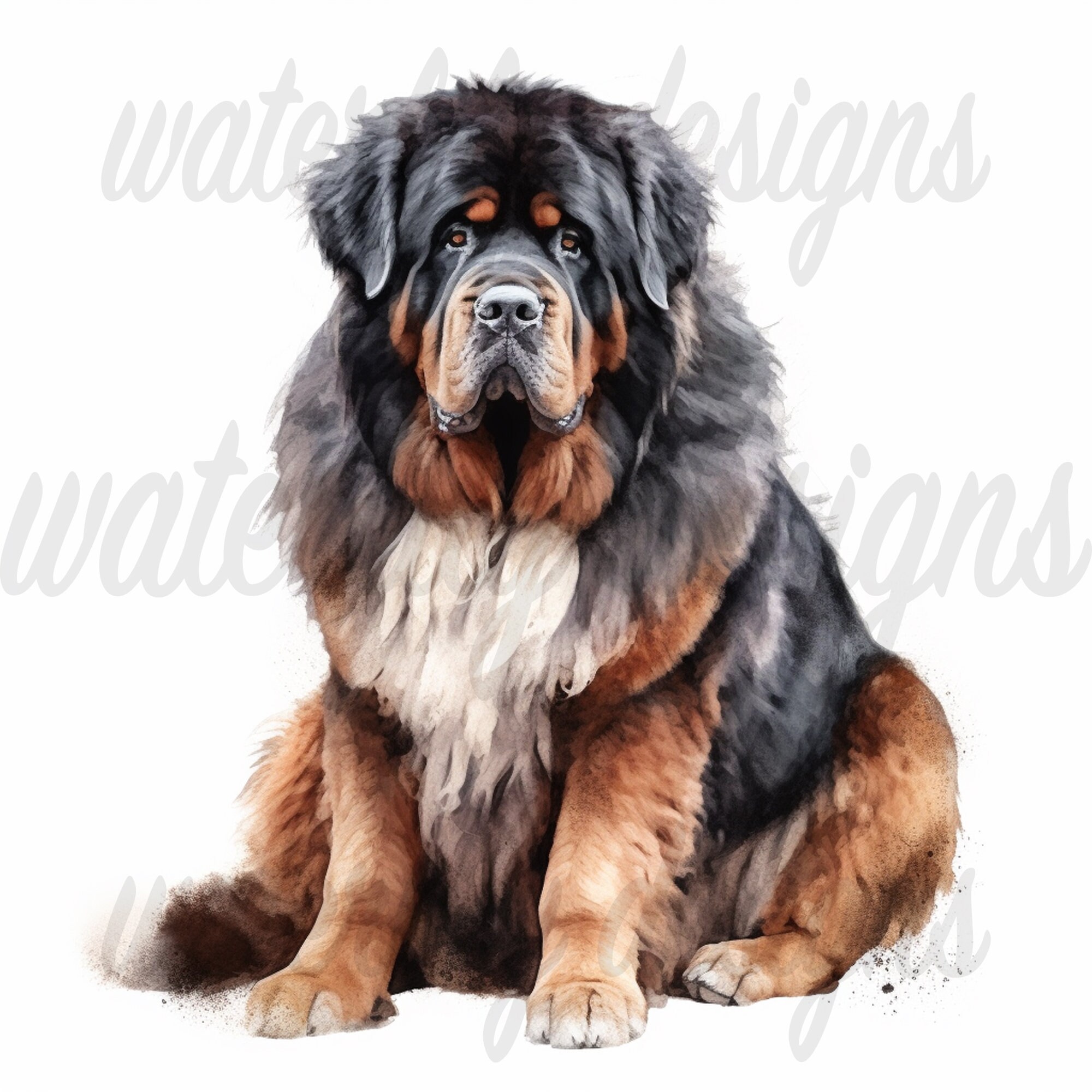 Tibetan Mastiff Clipart Bundle - 12 High Quality Vibrant Jpgs ...