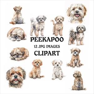 Può includere: Illustrazioni ad acquerello di cani Peekapoo in varie pose. Le immagini mostrano cani seduti, in piedi e sdraiati, con dettagliate texture del pelo ed espressioni facciali. Testo: "Peekapoo 12 JPG Images Clipart."