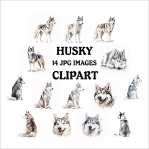 Husky Clipart Bundle - 14 High Quality Vibrant JPGs, Printable Planner Crafting, Commercial Use Included, Digital Download