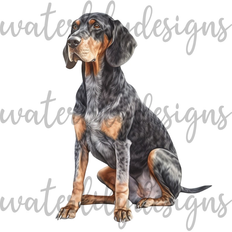 Black and Tan Bluetick Coonhound Clipart Bundle - 13 High Quality ...