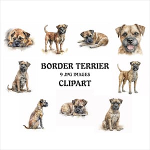 Border Terrier Clipart Bundle - 9 High Quality Vibrant JPGs, Printable Planner Crafting, Commercial Use Included, Digital Download