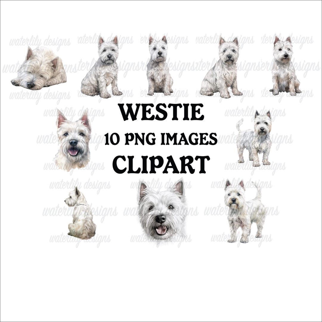 Westie Clipart Bundle, 10 High Quality Vibrant Pngs, Printable Planner ...