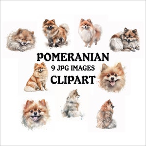 Pomeranian Clipart Bundle - 9 High Quality Vibrant JPGs, Printable Planner Crafting, Commercial Use Included, Digital Download
