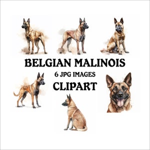 Belgian Malinois Clipart Bundle - 6 High Quality Vibrant JPGs, Printable Planner Crafting, Commercial Use Included, Digital Download