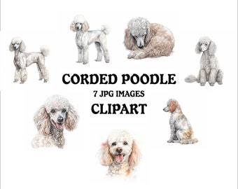 Corded Poodle Clipart Bundle - 7 High Quality Vibrant JPGs, Printable Planner Crafting, Commercial Use Included, Digital Download