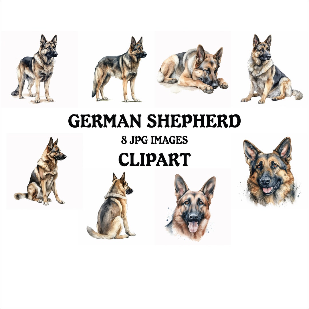 German Shepherd Clipart Bundle - 8 High Quality Vibrant Jpgs, Printable ...