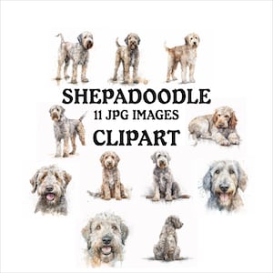 Shepadoodle Clipart Bundle - 11 High Quality Vibrant JPGs, Printable Planner Crafting, Commercial Use Included, Digital Download