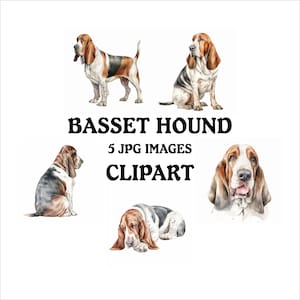 Basset Hound Clipart Bundle - 5 High Quality Vibrant JPGs, Printable Planner Crafting Journaling, Commercial Use Included, Digital Download