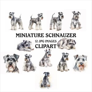 Miniature Schnauzer Clipart Bundle - 12 High Quality Vibrant JPGs, Printable Planner Crafting, Commercial Use Included, Digital Download