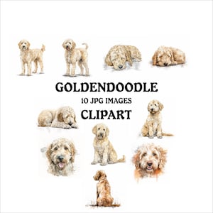 Goldendoodle Clipart Bundle - 10 High Quality Vibrant JPGs, Printable Planner Crafting, Commercial Use Included, Digital Download