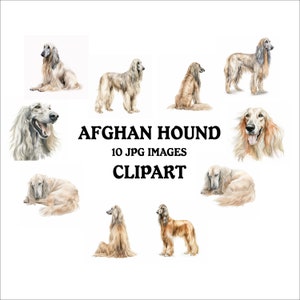 Afghan Hound Clipart Bundle - 10 High Quality Vibrant JPGs, Printable Planner Crafting Journaling, Commercial Use Included, Digital Download
