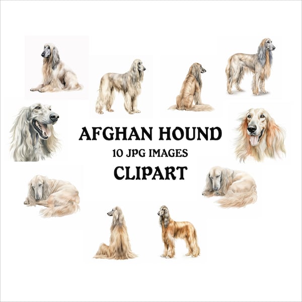 Afghan Hound Clipart Bundle - 10 High Quality Vibrant JPGs, Printable Planner Crafting Journaling, Commercial Use Included, Digital Download