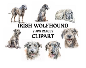 Irish Wolfhound Clipart Bundle - 7 High Quality Vibrant JPGs, Printable Planner Crafting, Commercial Use Included, Digital Download