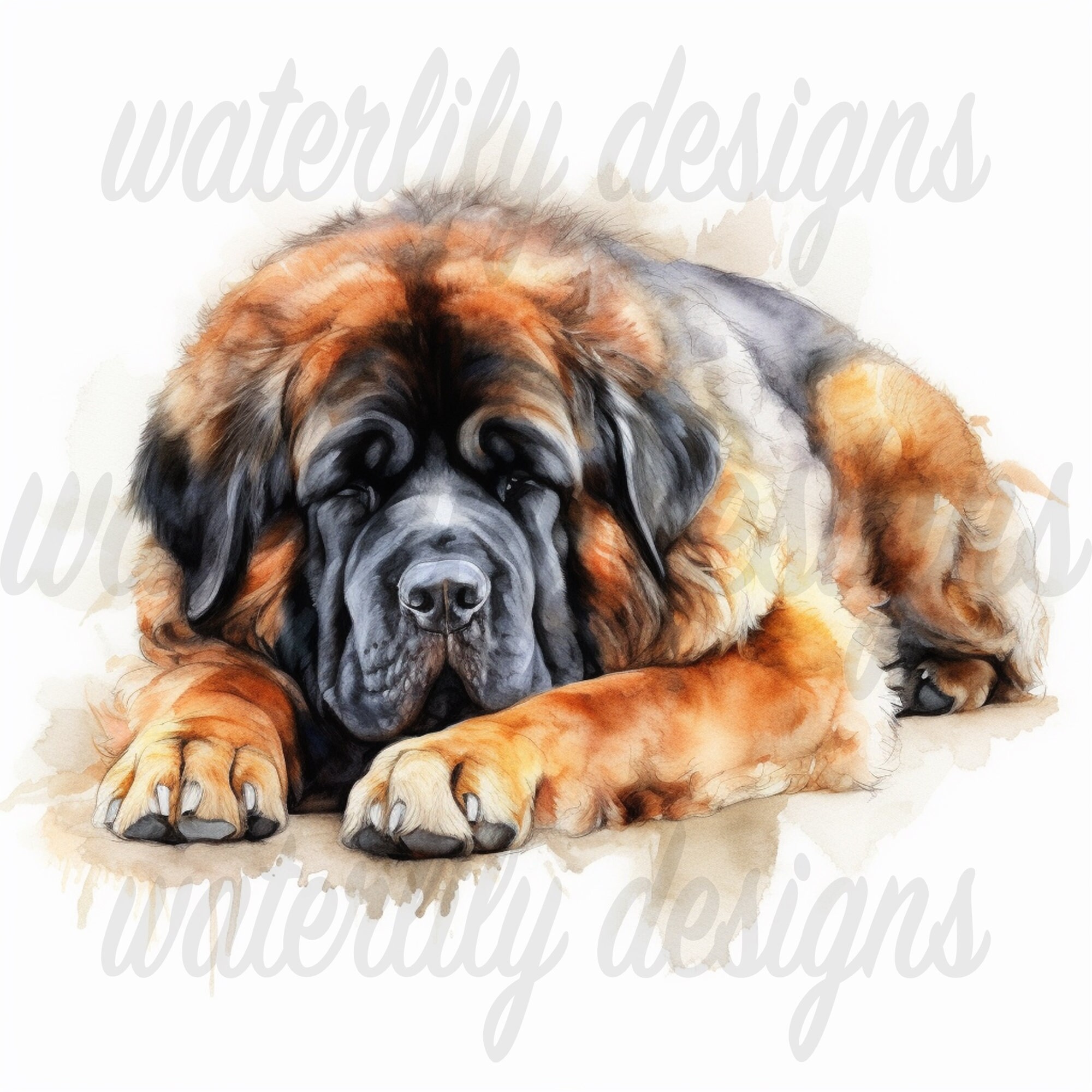 Tibetan Mastiff Clipart Bundle 12 High Quality Vibrant Jpgs, Printable ...
