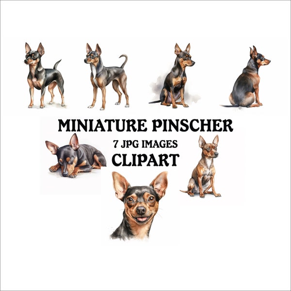 Miniature Pinscher Clipart Bundle - 7 High Quality Vibrant JPGs, Printable Planner Crafting, Commercial Use Included, Digital Download