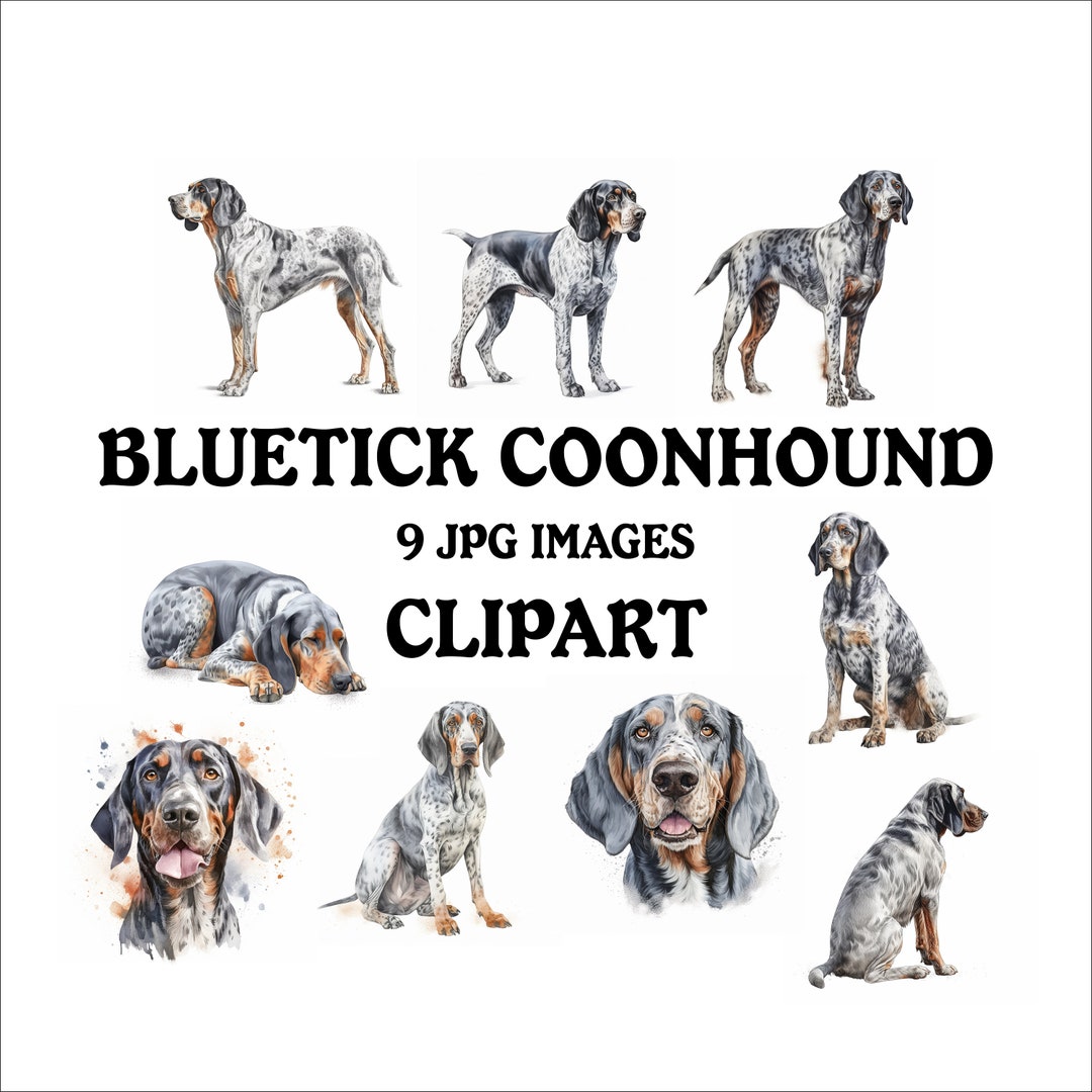 Bluetick Coonhound Clipart Bundle - 9 High Quality Vibrant Jpgs ...