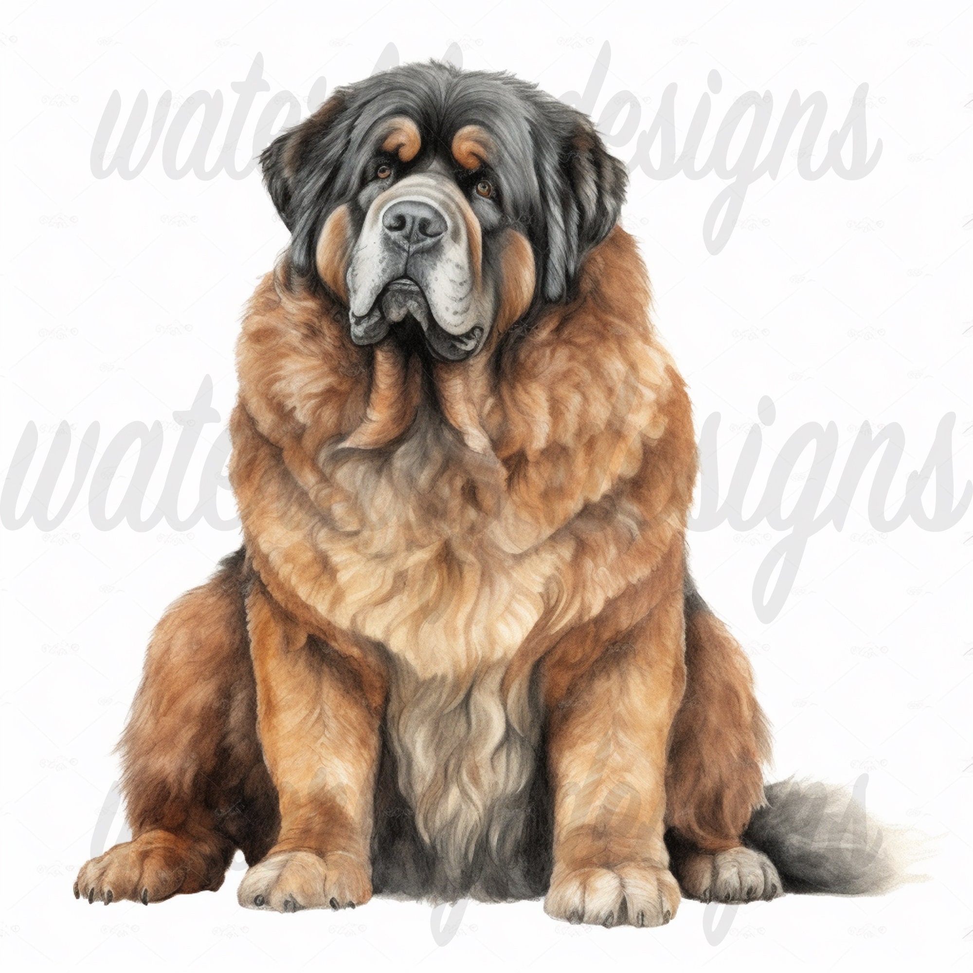 Tibetan Mastiff Clipart Bundle - 12 High Quality Vibrant Jpgs ...