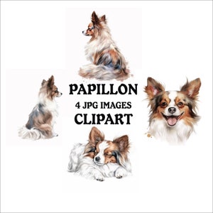 Papillon Clipart Bundle - 4 High Quality Vibrant JPGs, Printable Planner Crafting, Commercial Use Included, Digital Download