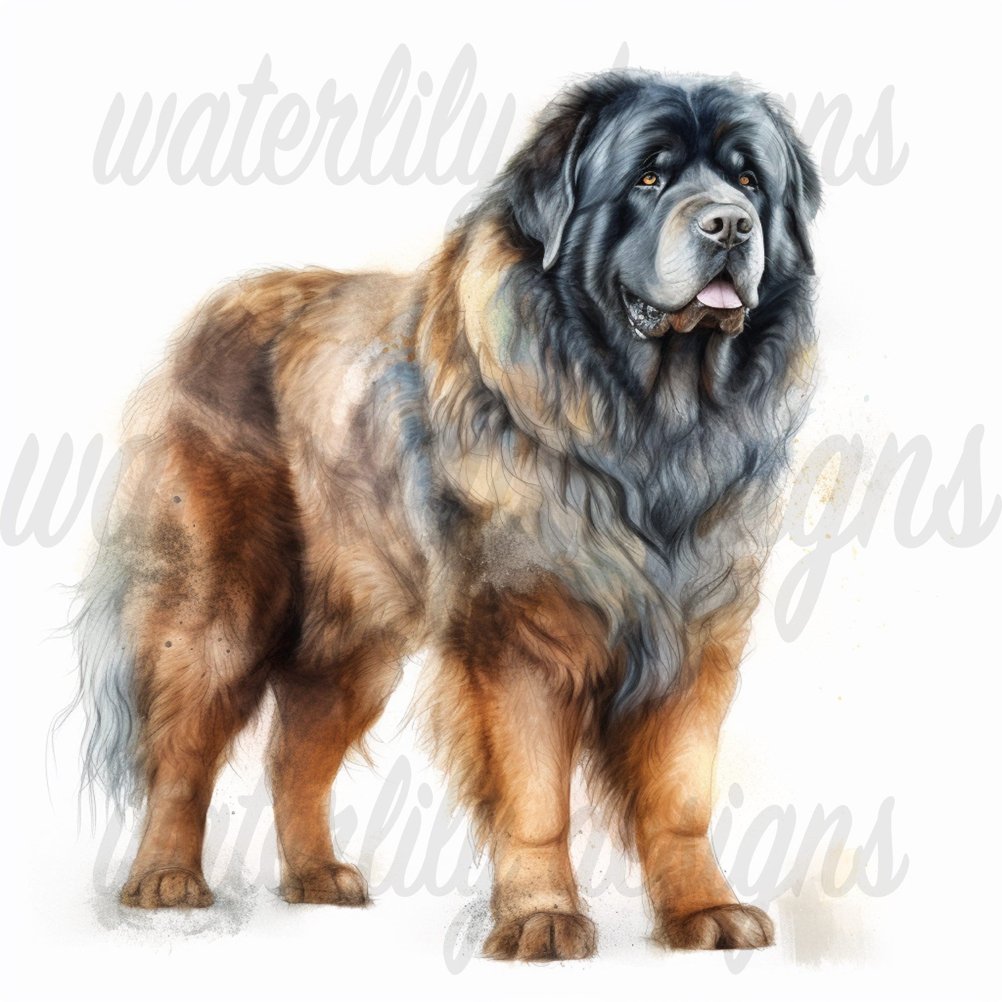 Tibetan Mastiff Clipart Bundle 12 High Quality Vibrant Jpgs, Printable ...