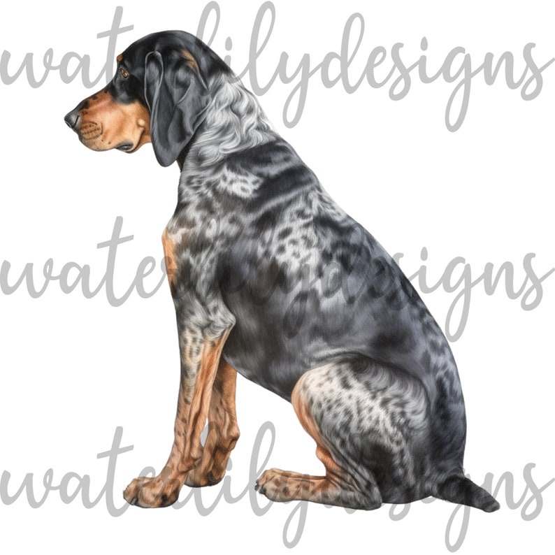 Black and Tan Bluetick Coonhound Clipart Bundle - 13 High Quality ...