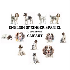 English Springer Spaniel Clipart Bundle - 12 High Quality JPGs, Printable Planner Crafting, Commercial Use Included, Digital Download