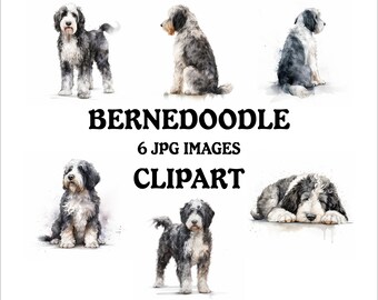 May include: Watercolor clipart featuring six Bernedoodle dog illustrations in various poses. The dogs have black, white, and gray fur. Text on the image reads "BERNEDOODLE, 6 JPG IMAGES, CLIPART."