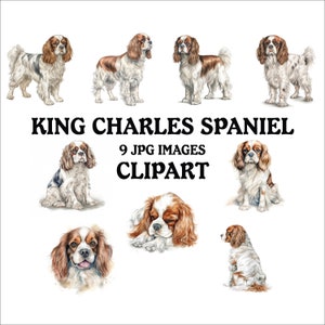 King Charles Spaniel Clipart Bundle - 9 High Quality Vibrant JPGs, Printable Planner Crafting, Commercial Use Included, Digital Download