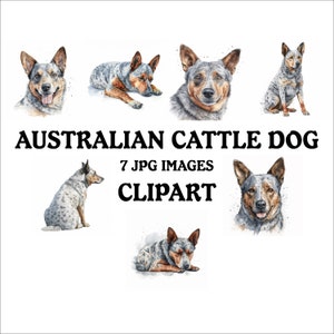 Australian Cattle Dog Clipart Bundle - 7 High Quality Vibrant JPGs, Printable Planner Crafting, Commercial Use Included, Digital Download