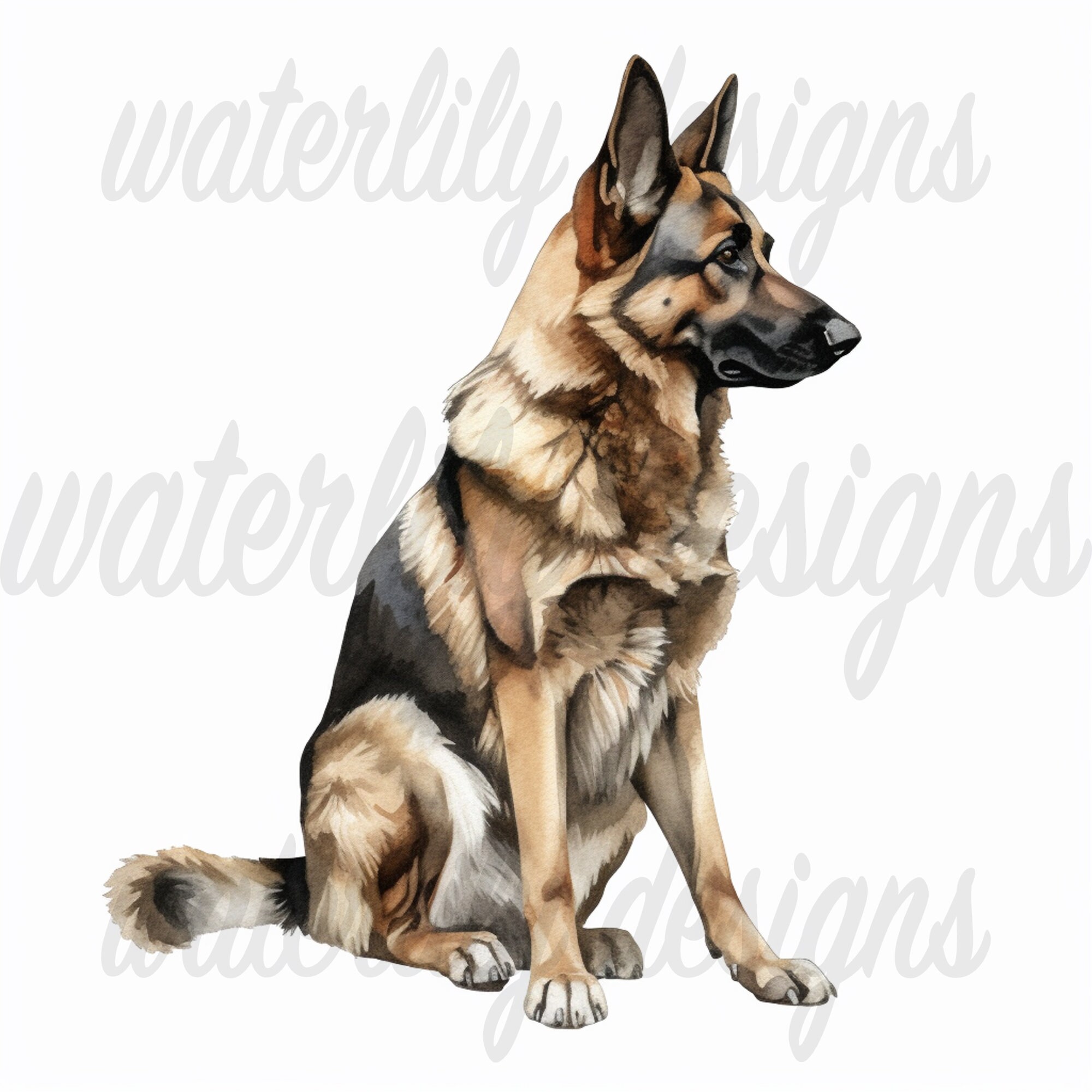 German Shepherd Clipart Bundle - 8 High Quality Vibrant Jpgs, Printable ...