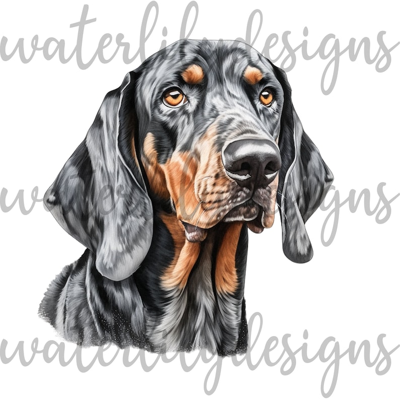Black and Tan Bluetick Coonhound Clipart Bundle - 13 High Quality ...