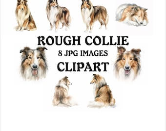 Rough Collie Clipart Bundle - 8 High Quality Vibrant JPGs, Printable Planner Crafting, Commercial Use Included, Digital Download