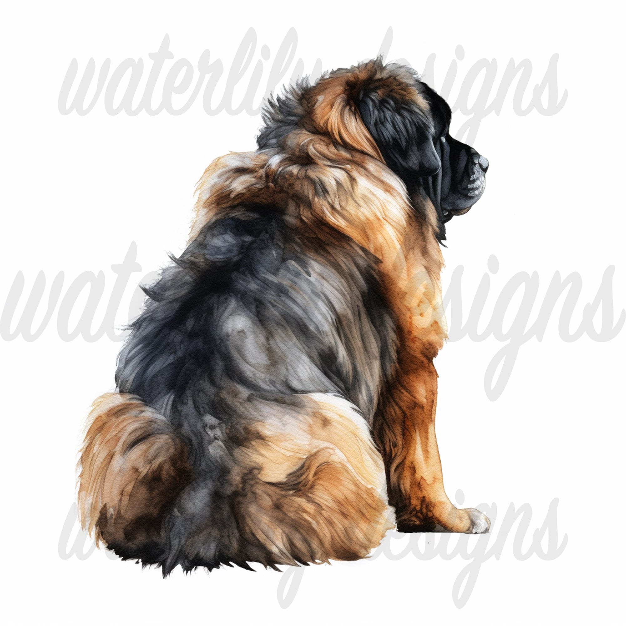 Tibetan Mastiff Clipart Bundle - 12 High Quality Vibrant Jpgs ...