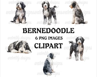 May include: Watercolor clipart featuring six images of Bernedoodle dogs in various poses. The dogs have black, white, and gray fur. The text "BERNEDOODLE 6 PNG IMAGES CLIPART" is displayed in black font.