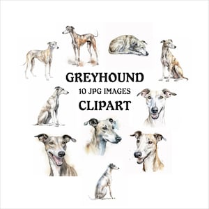 Greyhound Clipart Bundle - 10 High Quality Vibrant JPGs, Printable Planner Crafting, Commercial Use Included, Digital Download