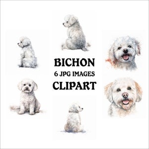 Bichon Clipart Bundle - 6 High Quality Vibrant JPGs, Printable Planner Crafting Journaling, Commercial Use Included, Digital Download