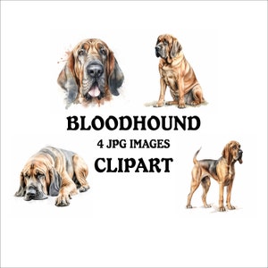 Bloodhound Clipart Bundle - 6 High Quality Vibrant JPGs, Printable Planner Crafting Journaling, Commercial Use Included, Digital Download