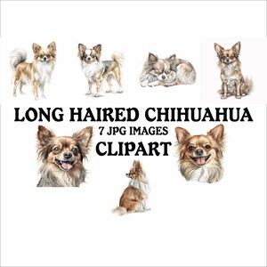 Long Haired Chihuahua Clipart Bundle - 7 High Quality Vibrant JPGs, Printable Planner Crafting, Commercial Use Included, Digital Download